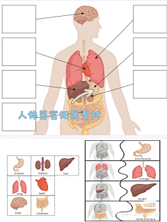 肖查某采集到插画-基础学习