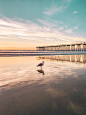HD photo by Marion Michele (@marion_michele) on Unsplash : Download this photo by Marion Michele (@marion_michele)