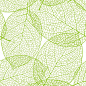 新鲜绿色的树叶背景-矢量图