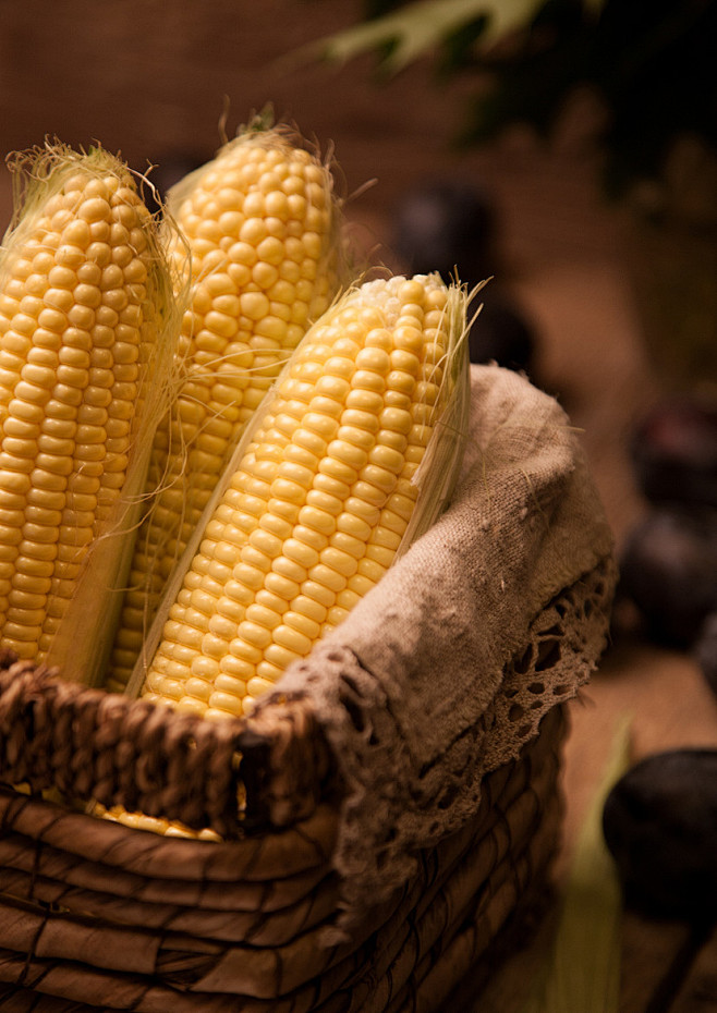 Photograph Corn by K...