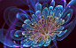 漂亮的3D创意花朵 壁纸 - 1920x1200