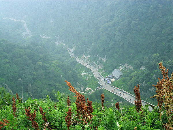 【i旅行】风筝的旅行·环游山东14日