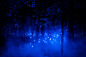 MomentFactory_NorthForestLights_Signature_Shows_DSC03454-WS