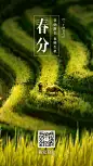 春分节气祝福问候春天手机海报
