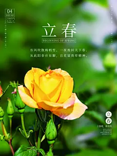 鸟语花香大地春归季万物复苏时立春海报展板