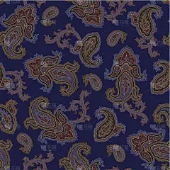 佩斯利图案