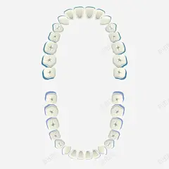 手绘白色牙齿高清素材 png 页面网页 平面电商 创意素材 png素材