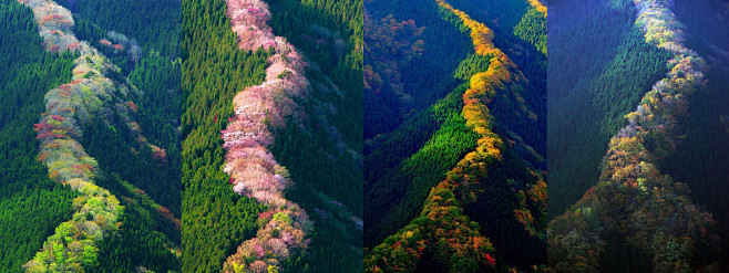 天川村山。奈良。日本。