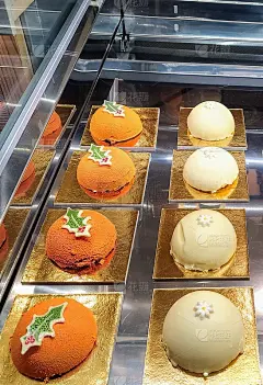 全自动tassimo semifreddo