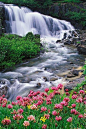 Uncompahgre National Forest, Colorado