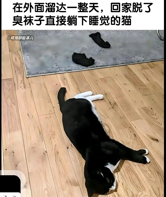 种下一些吊图_吊图吧_百度贴吧