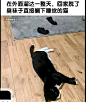 种下一些吊图_吊图吧_百度贴吧