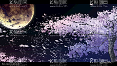 jiaa36采集到插画|摄影