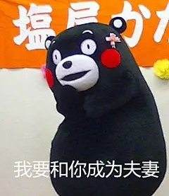 #情人节表情包# #搞笑# #爱情#熊本熊表情包#