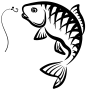 图层 1-01