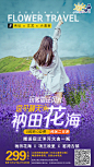 【源文件下载】 海报 旅游 花海 小清新 薰衣草 大自然