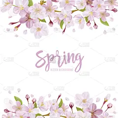春天,樱花,背景,花朵,复活节,贺卡,艺术,樱桃,无人,绘画插图