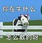 .米菲兔表情包​​​