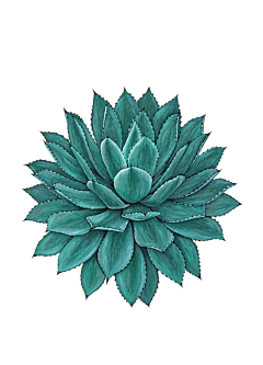 阿贾JIA采集到Element.合集