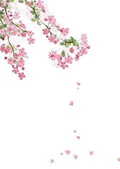 恰饭工作室采集到[恰饭]♡古风花卉/植物素材底图