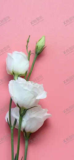 手机壁纸 【酷图网】手机壁纸,卡通壁画,手绘卡通封面,唯美壁画,漫画手绘,创意装饰画,客厅壁画,漫画插画,日记本封面,北欧挂画,手绘素材,可爱装饰画,创意插画,欧式装饰画,儿童房挂画,手绘元素,漫画素材,水彩画,可爱漫画,大自然油画