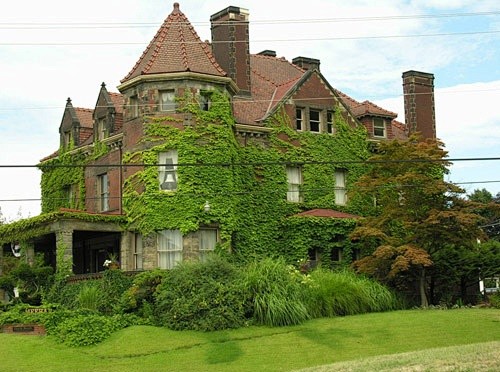 Ivy Covered Mansions...