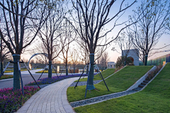 Sea53采集到景观意向图-植物氛围