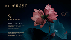 ”半糖“采集到产品手册