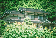 朔偃采集到Iska