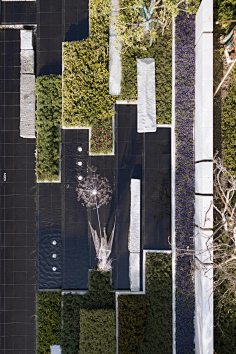 直线景观-花瓣网|陪你做生活的设计师 | e estate by dgla-mooool设计