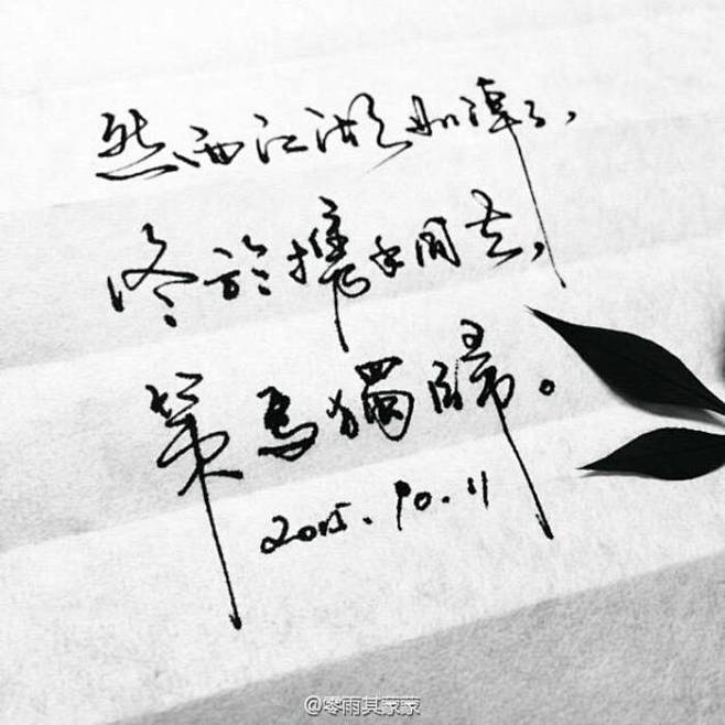 【策马独归】 【手写|菊花体】【Weib...
