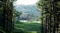 The-Ananti-Club-163330.jpg