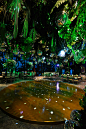 » Jungle Party