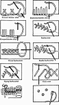 stitches tutorial #2