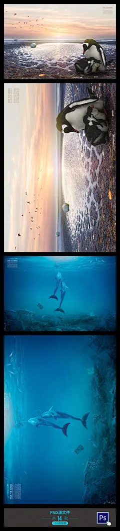 保护地球海洋野生动物海报