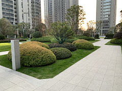 叶的夜采集到Landscape—植物设计
