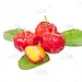 acerola