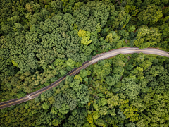 薄荷-apple采集到风景