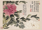 古画-花卉参考
