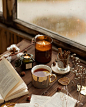 the year's loveliest season_ Photo