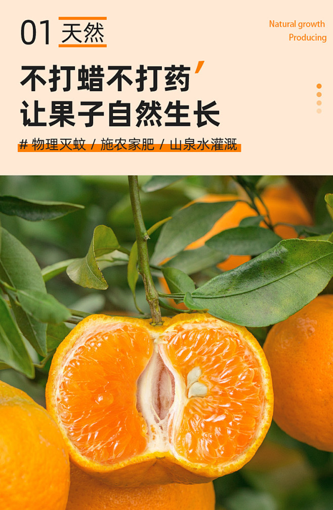 宜昌椪柑9斤新鲜柑橘薄皮丑橘子水果当季高...