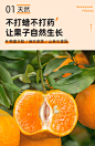 宜昌椪柑9斤新鲜柑橘薄皮丑橘子水果当季高山桔子整箱柑子包邮-tmall.com天猫