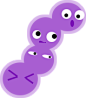 细菌
