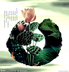 七年女采集到水