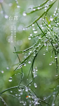 #每日壁纸# 白云映水摇空城，白露垂珠滴秋月。——李白 ​​​​