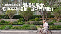 心有艳阳采集到Q-球类造型
