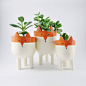 Fox Planters -Three Ceramic Fox Plant Pots - Garden: