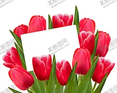 3月8日 【酷图网】八月,妇女节,女神节,女王节,38妇女节,国际妇女节,女人节,三八妇女节,超市妇女节,妇女节活动,妇女节快乐,妇女节手机,浪漫妇女节,妇女节海报,妇女节促销,妇女节背景,妇女节广告,妇女节素材,妇女节贺卡,妇女节展架,妇女节展板,妇女节X展架,妇女节易拉宝,38节,妇女节灯箱,妇女节专题,女神节海报