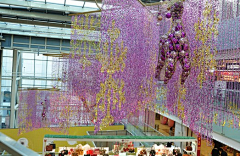 山茶2009采集到待归类采集