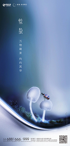 蒋奶奶YYDS采集到1-节日节气海报